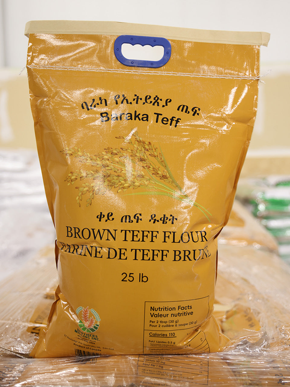 Teff Flour - ጤፍ
