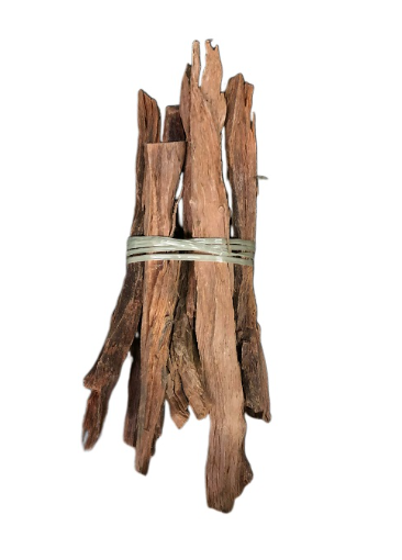 Weyra (ወይራ) Olive tree