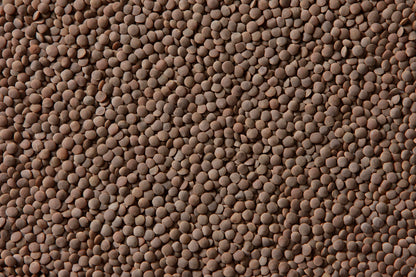 Whole Lentils (ድፍን ምስር) AGT Foods 25kg
