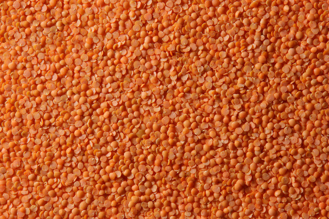 Red Split Lentils (ምስር ቀይ) AGT Foods 25kg