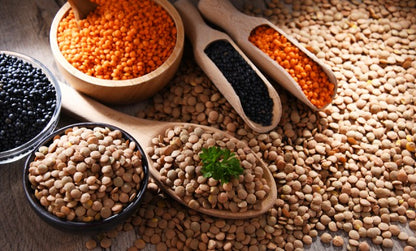 Red Whole Lentils (ድፍን ቀይ ምስር) AGT Foods 25kg