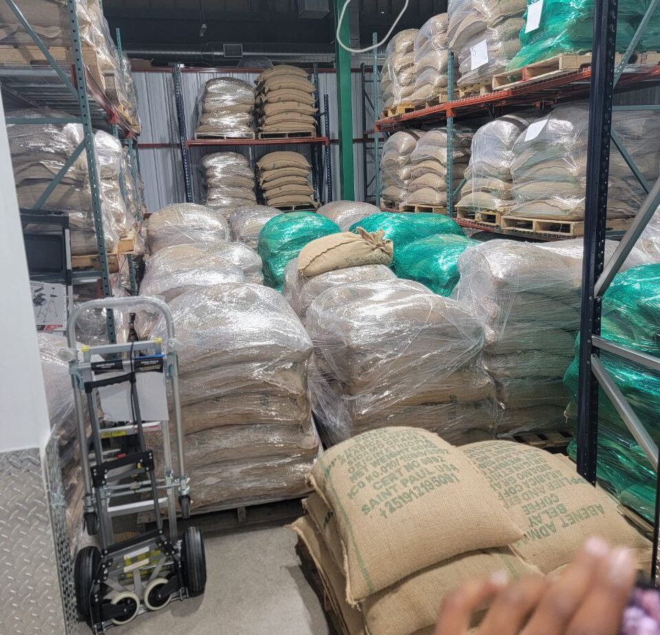 Ethiopian Sidamo Coffee Beans - ሲዳሞ ቡና-  (Washed) (132 LB)