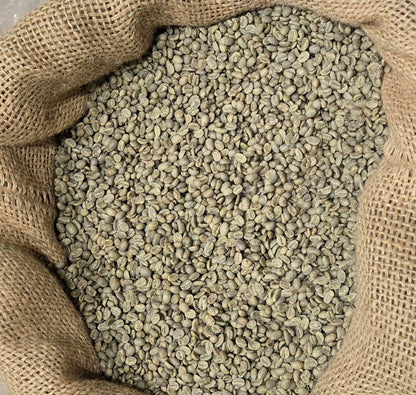 Ethiopian Sidamo Coffee Beans - ሲዳሞ ቡና-  (Washed) (132 LB)